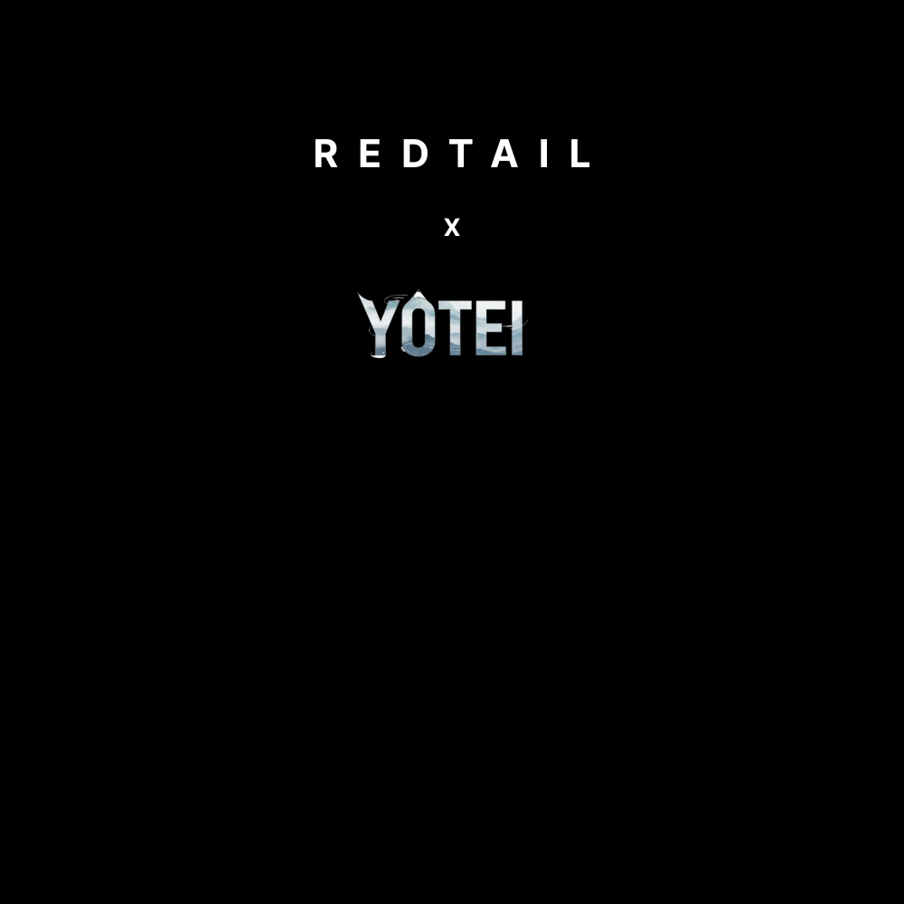 Echoes of Yotei - RedTail Oversized T-shirt
