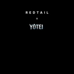 Echoes of Yotei - RedTail Oversized T-shirt